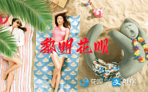 ﻿负隅顽抗花呗